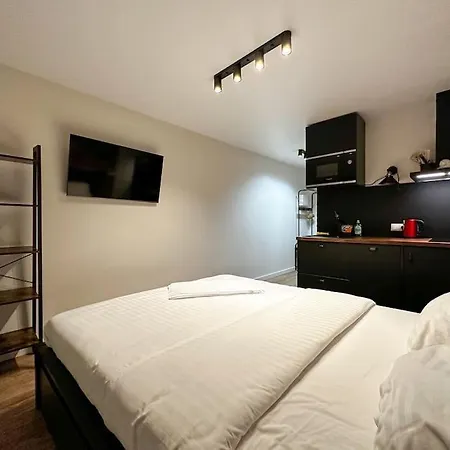 Apartment Redbrick Center Iii *